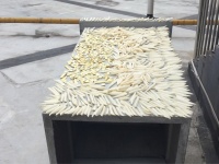DIY in Changsha