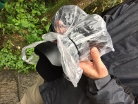 Der Sven als Erfinder