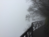 Fehlen nur noch die Zombies