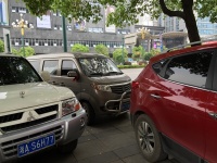 Parken a la China