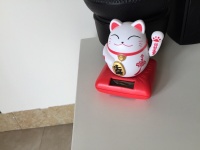 Die Sonne lacht – Die Katze winkt