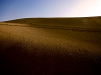 Die Wüste lebt – Dunhuang, ein Bilderbuch (Teil 1)
