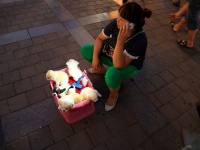 Ein Fall für den kleinen Tierfreund