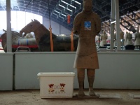 Terra Cotta Warriors – mit Bärchenbox
