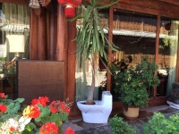 Polterabend oder Blumentopf?