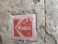 Kodak im Wald