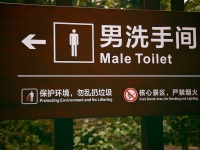 Männliche Toilette