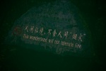 Chinglish im Park