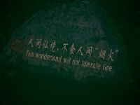 Chinglish im Park