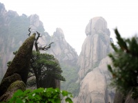 Das Huangshan-Gebirge