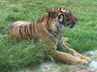 Zoobesuch in Changsha