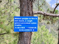 Don’t smoke in the forrest!
