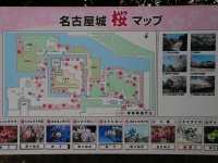 Hanamikarten, Biologie für Anfänger