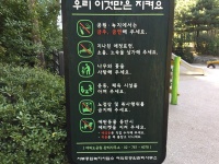 Blumen pflücken erlaubt