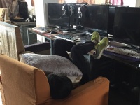 Zocken bis zur Erschöpfung