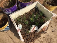 Stilvolle Gartenarbeit