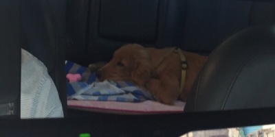 Rueckspiegelbenutzung