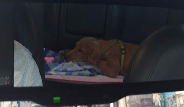 Rueckspiegelbenutzung