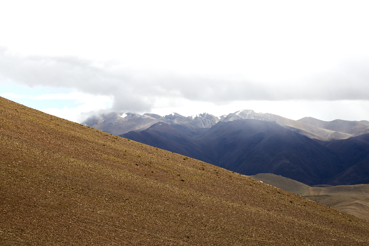 2langnasen_tibettoever_250.jpg