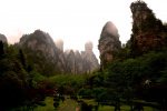 2langnasen_potd_dez15_6-1.jpg