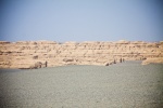 2langnasen_dunhuang_wueste-30.jpg